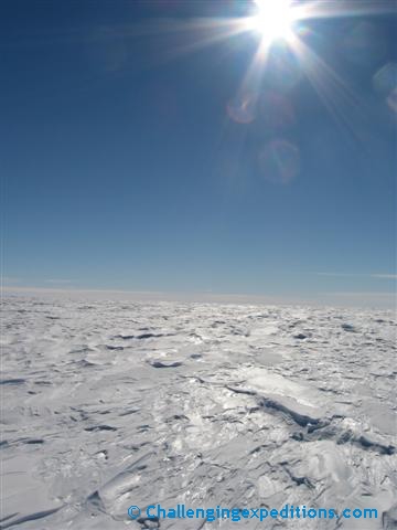 antarctica 2008